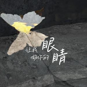 让我做你的眼睛