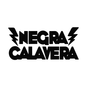 ¿Quién Sigue al Idiota?