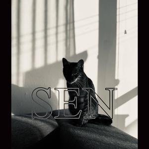 SEN (feat. Bachmann)