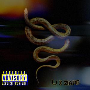 Slitherin Snakes