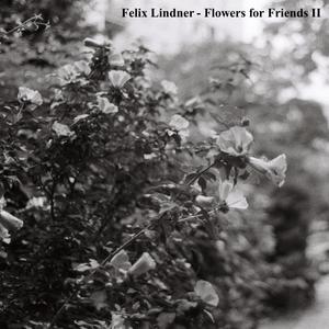 Imperfection (feat. Anjali Ramachandran)