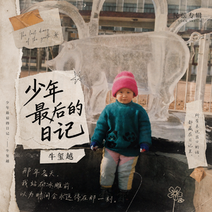 一个傻子