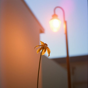 Hard to Let You Fade