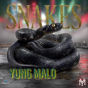 Snakes
