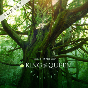 カムフラージュ (オルゴール)