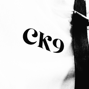 我怎么可能再也不写歌了？