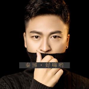 秦博 / 秦博-好嗨哟(抖音版)（秦博 remix）