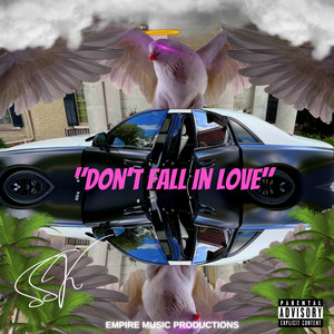 Dont Fall In Love