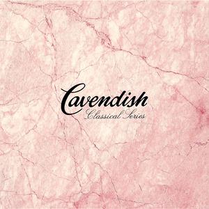 Symphony No 6 Pathetique - Adagio Lamentoso