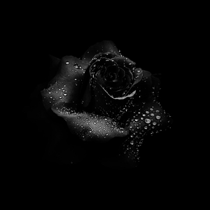 Ты пахнешь мятой