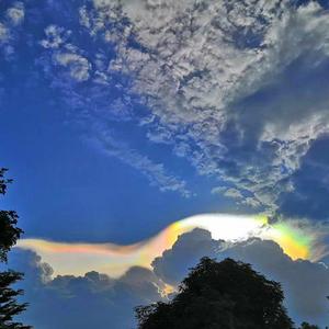 shabi(Prod. By DRP project)