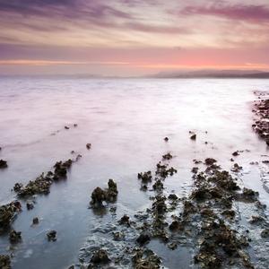 寂寞的人伤心的歌