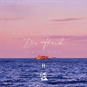 Did Hard(ArmyCat Remix)