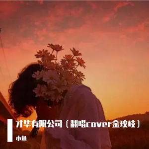 才华有限公司（翻唱cover金玟岐）