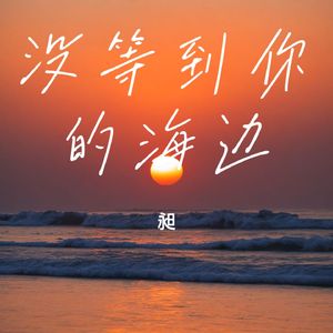 没等到你的海边
