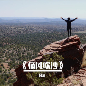 《痛风吹沙》