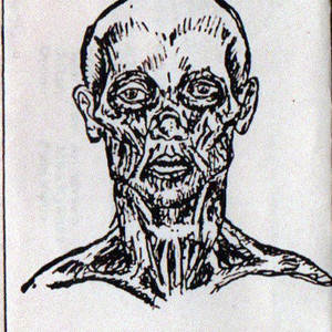 Consume the Lifeless Cadaver