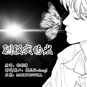 驯服夜的光