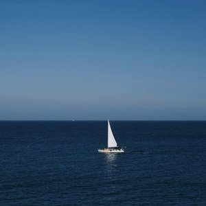 撕咬进行曲 (WTD！)