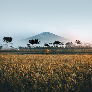 Javanese Healing Modern