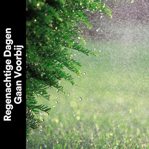 Melodische regengeluiden voor vrede en ruste, Pt. 12