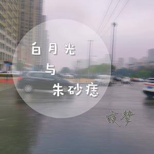 白月光与朱砂痣