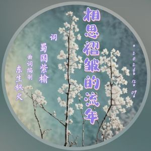 相思褶皱的流年