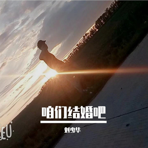 《咱们结婚吧》-刘少华