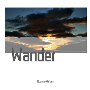 Wander