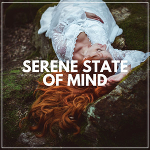 Stars as Night Lights