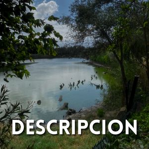 Descripcion