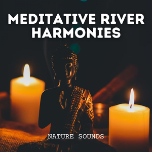 Ripple Effect for Mindful Reflection