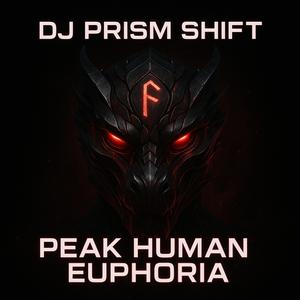 DJ PRISM SHIFT
