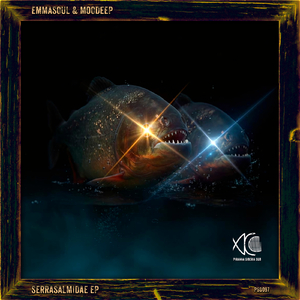 Paku (Oldschool Dubtechno .Producer Rebuild №03)