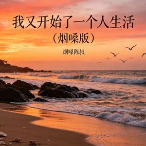 我又开始了一个人生活（烟嗓版）