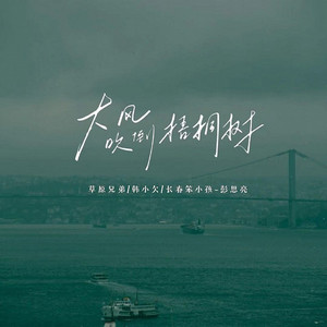 大风吹倒梧桐树 (生活励志版)