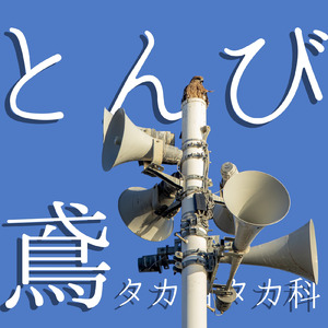 とんび