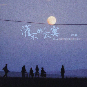 灌不醉的寂寞 (DJ版)