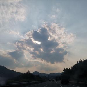 端午节当然吃粽子