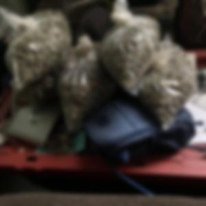 Speak up (feat. Fge Draco2x)