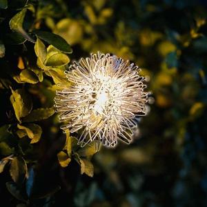 Time to Memory(Mashup)