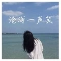 沧海一声笑 (DJ版)