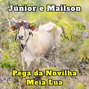 Homenagem a Basto Ferro