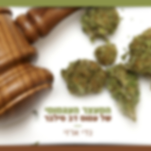 המעצר העגמומי של עמוס דב סילבר
