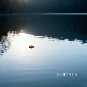 为了那二两银钱