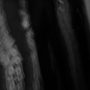 Spliff (feat. SlattyBee)