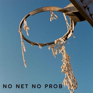 No Net No Prob