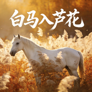 白马入芦花