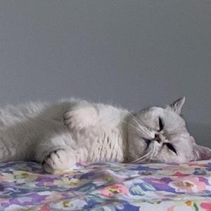 游荡在人间的路上