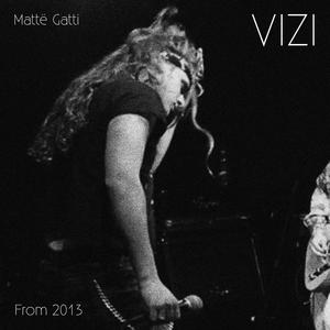 Vizi
